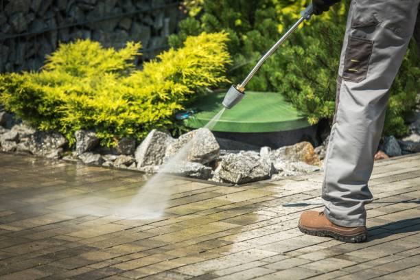 Best Boat and Dock Cleaning  in Clayton, AL