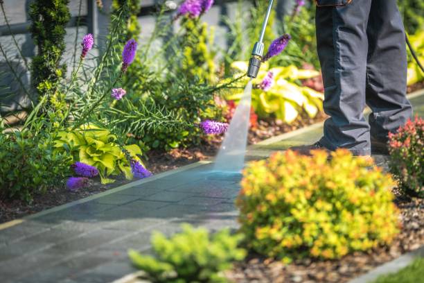 Best Winterizing Services  in Clayton, AL