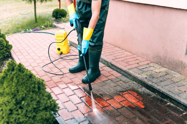 Best Fence Cleaning  in Clayton, AL